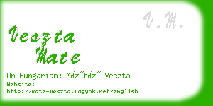veszta mate business card